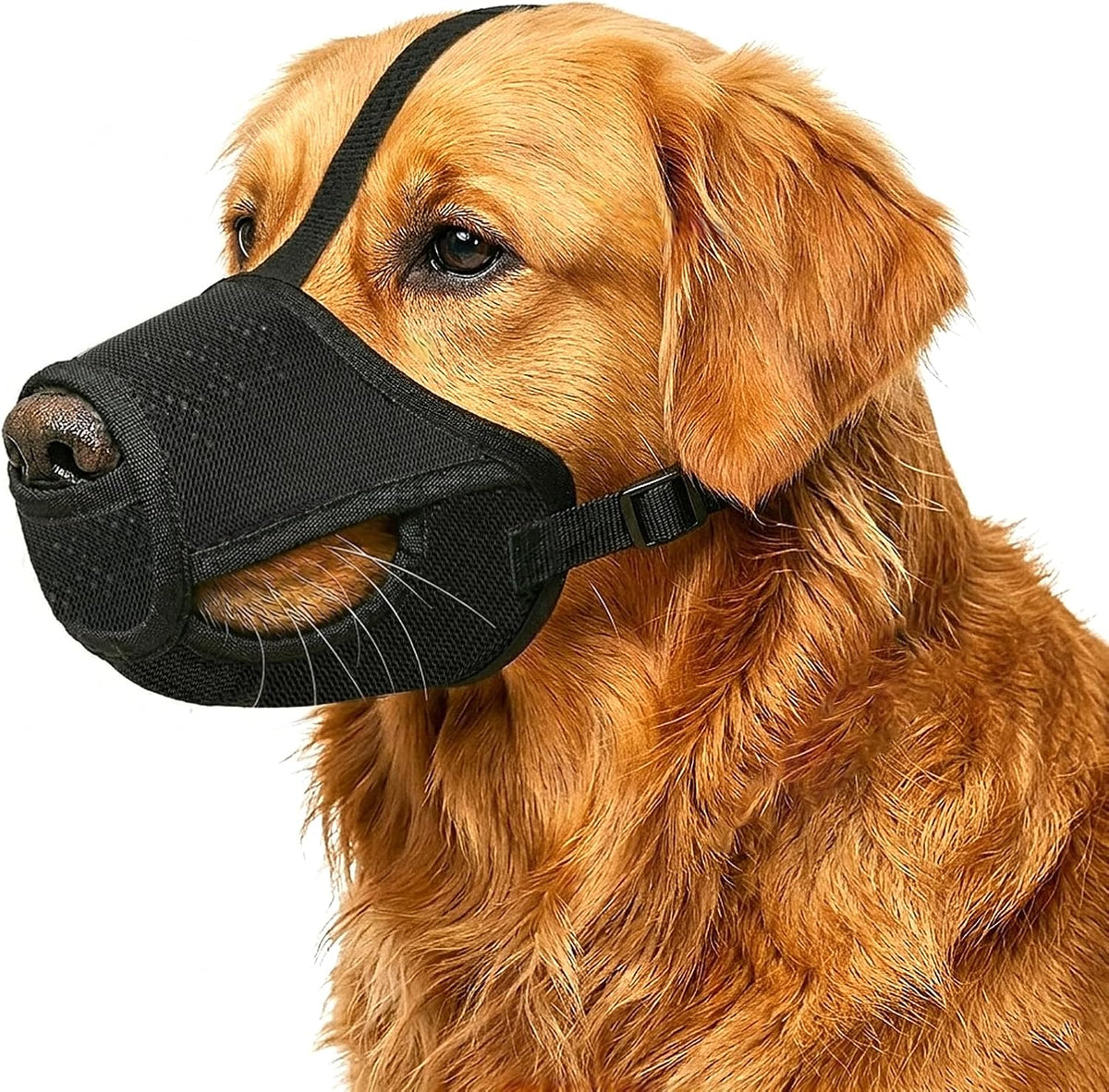 Adjustable Soft Mesh Dog Muzzle – Black, S–XL
