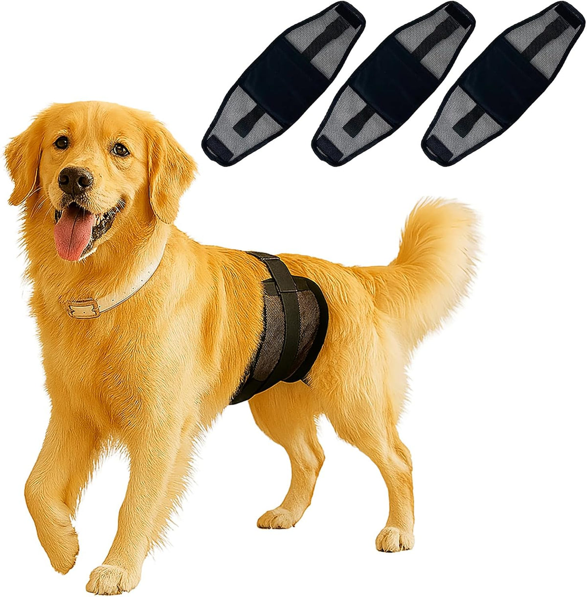 Washable Reusable Male Dog Belly Band – Black